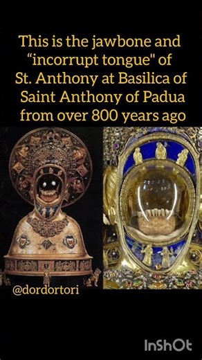 The Jawbone and Incorrupt Tongue: Myth or Reality? #historia #history #facts #museum