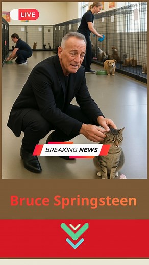 Read more: https://supa9.com/the-boss-builds-a-haven-bruce-springsteen-donates-1-5-million-to-launch-pet-rescue-sanctuary-in-freehold-new-jersey/ | Working Man’s Anthem