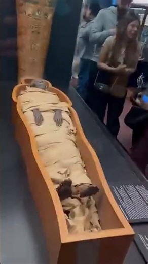 Real Egyptian Mummy in a Museum. Up Close Look