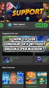 How to use ZongHub GFX Injector