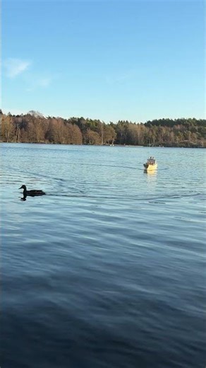 M/S NIHON RC model container ship 9 feet!! 🛳️🦆 #rcboat #modelboat