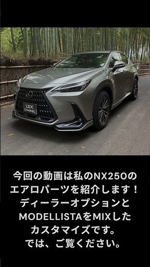 レクサスNX エアロパーツ #lexus #レクサスnx #TAK_LEX_channel