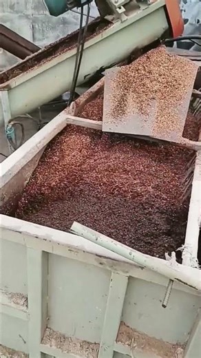 Clean Water Purification Technique