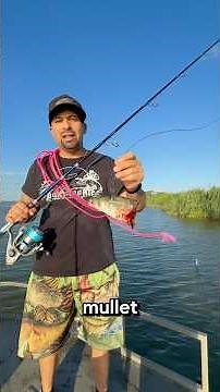 How to catch alligator gar like a pro #alligatorgar #garfishing #lcd956customrods #lcd956leaders