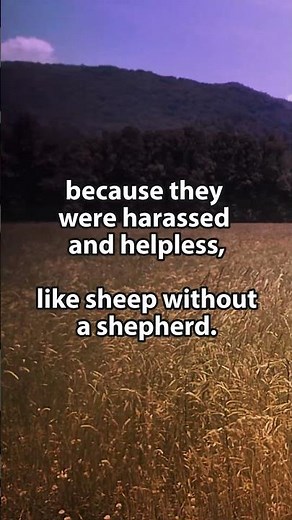 The Harvest Is Plentiful | Matthew 9:35–38 Moment In The Word