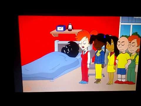 Black Bear Gets Grounded Season 16