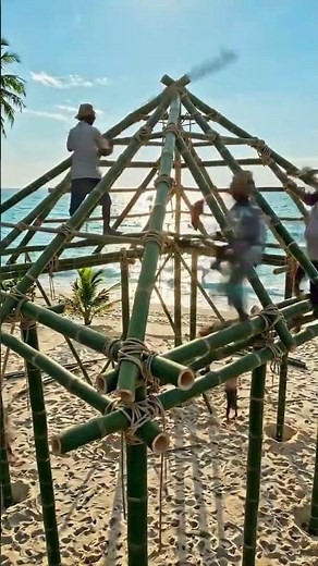 Building a Luxury Bamboo House Step by Step | Civil Engineering Animation