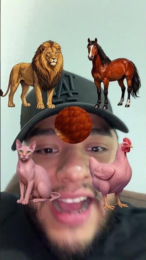 Helping Wild Animals