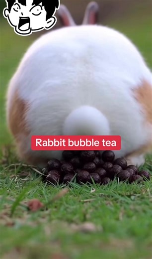 How to make rabbit bubble tea😂 #bubbletea #shortfilm #viralvideo #funny