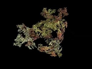 Thornton Julia Triplex