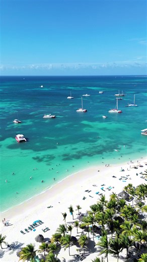 Explore Aruba's Stunning Palm Beach from Above