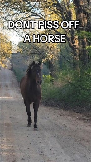 A HORSE Can Charge You