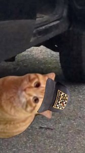 71K views · 1.3K reactions | Comment your worst repair job [[[SECRETPANELTRYTOSCREENSHOT]]]]]] #auto #automotive #shitboxes #shitbox #trucks #classictrucks #mechanic #autotech #classiccars #jdm #shitboxnation #car #cars #carculture #pickup #pickuptrucks #pickuptruck #classicpickup #mudders #mudtires #bluecollar #bluecollarlife #bluecollarbrotherhood #bluecollarlifestyle #redneck #autodetailing #autotechnician #technician #construction #constructionlife | Catswithhardhats | Facebook