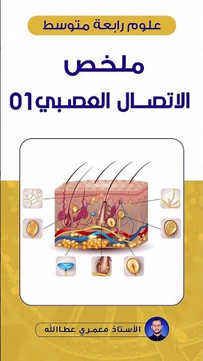 ملخص الاتصال العصبي رابعة متوسط | الجزء01