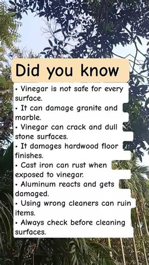 Things You Should Never Clean With Vinegar