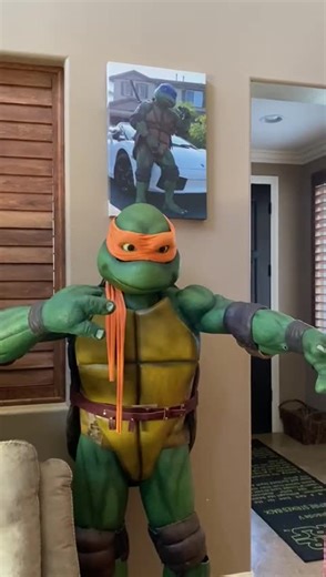 This how you should properly store your turtle suits😎 watch till the end!🙂 | Mega Mike