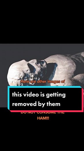 Exploring the Petrified Giants of Gladstone, QLD