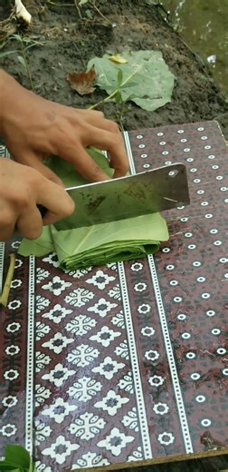 Fresh Taro mini rotre #satisfying #modernfarmer #cuttingtree