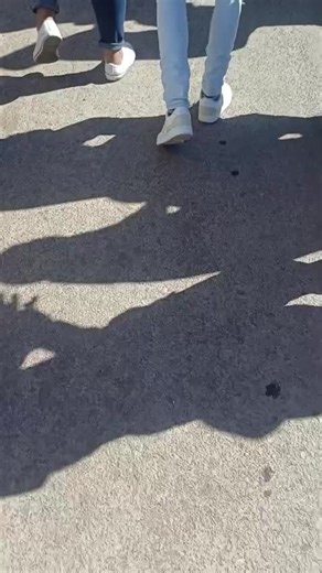 Seti (@lunjebeseti)’s videos with original sound - Seti