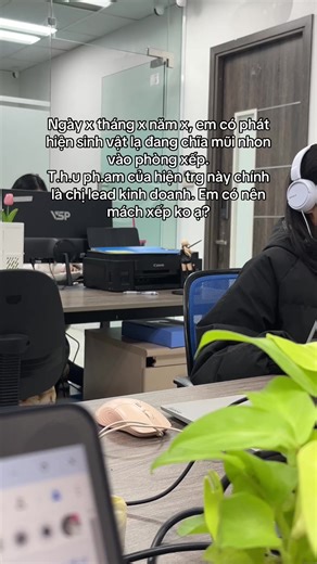 #xuhuongtiktok #congsohaihuoc #internceo #congty