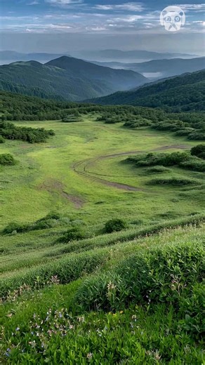 Fast construction timelapse - AI video | Trucos Panda