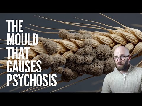 Ergotism: The Real Cause of the Salem Witch Trials?