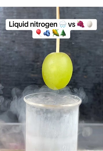 Liquid nitrogen 🌧️ vs 🍇 🥚 🎈🫐 🌽🌲#Satisfying #Experiment #ASMR #LiquidNitrogen #NitrogenVS
