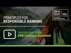 Webinar: Intro to the Principles for Responsible Banking Guidance document