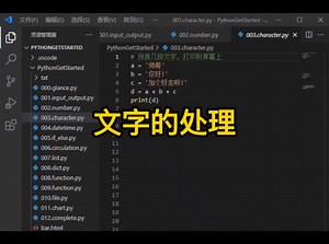 python零基础入门-文字的处理