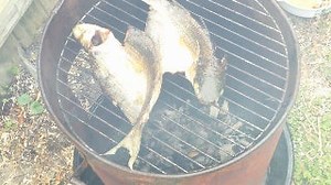 How to Clean and Smoke a Fish With Hot Smoke Method