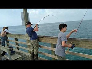 4-30-2022 - Fishing Report - Seaview Fishing pier