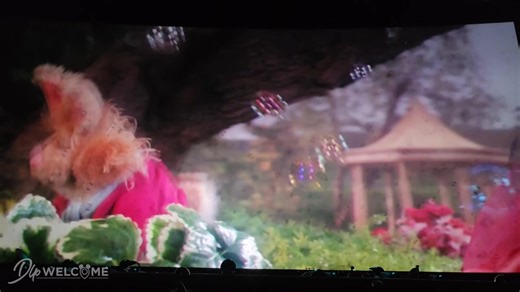 2K views · 56 reactions | [4K FULL SHOW 2D] Muppet Vision 3D : https://f.mtr.cool/uhhliosjqw Disney's Hollywood Studios from 1992 to 2025 #Muppets. #MuppetVision #MuppetsWDW #MuppetShow #DisneyWorld | DLP Welcome | Facebook