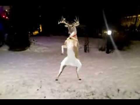 Dancing Reindeer