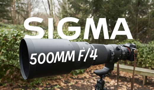 十斤的设备 平民神镜 适马500定完全测评 Sigma 500mm f/4 DG OS HSM S