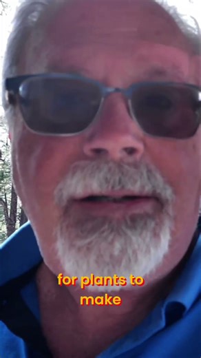 Moisture Meter Explained: What's the Real Percentage? #shorts