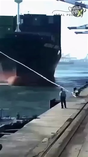 Mooring Line Hazards and Safety Precautions | Akhil Prathap posted on the topic | LinkedIn