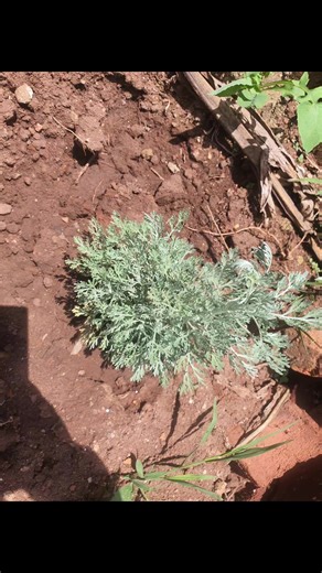 The Importance of Documentation in Home Building