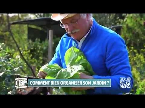 Comment bien organiser son jardin ?