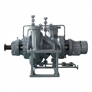 [Hot Item] API610bb2 Compliant Multistage Centrifugal CO2 Injection Pump for Carbon Capture Systems