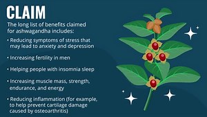 "Adaptogen" is a term for certain foods and supplements that are said to help the body cope with "stress." But do they work? Learn more about the claims vs. evidence for ashwagandha, rhodiola and holy basil: https://msdmnls.co/3I6dV6C | MSD Manual Consumer