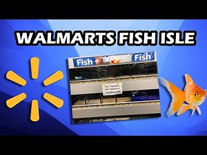 What Happened To Fish At Walmart?