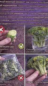 How to Keep Broccoli Fresh for 7-10 Days - 3 Methods TESTED! 5