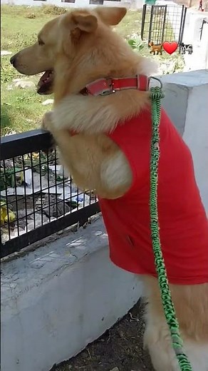 Tere Mere Pyar Nu Nazar Na Lage Lyrics