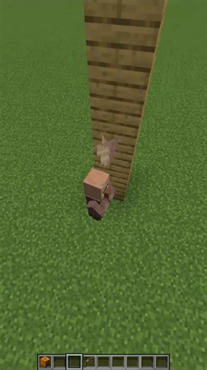 Minecraft Logic #minecraft #shorts