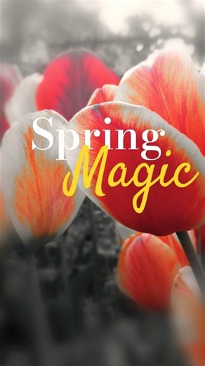 🌈 WOW Spring Magic #shorts #nature #travel