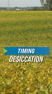 When do you apply the desiccant? | Ag PhD