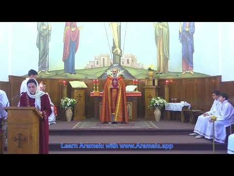 𝐋𝐢𝐭𝐮𝐫𝐠𝐲 219th / SUNDAY AFTER THE ASCENSION