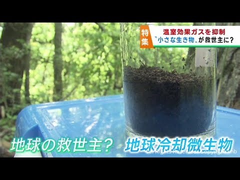 亜酸化窒素（N2O）は、地球温暖化の原因