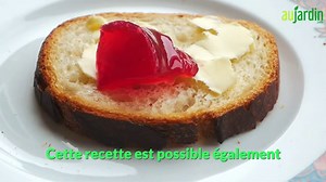 Gelée de groseilles 3 minutes