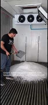 3 tons capacity flake ice machine in Chile Alexander's ice plant